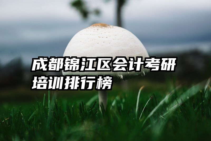 成都锦江区会计考研培训排行榜
