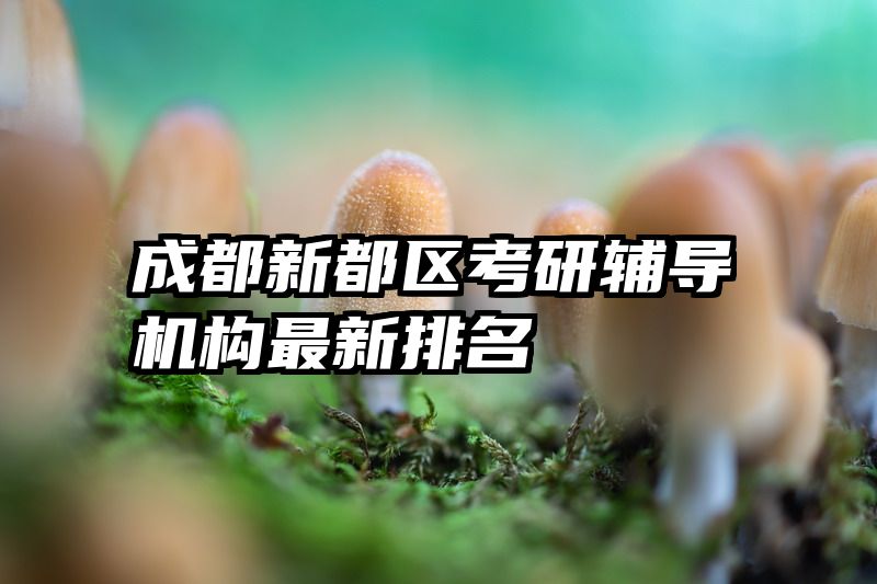 成都新都区考研辅导机构最新排名