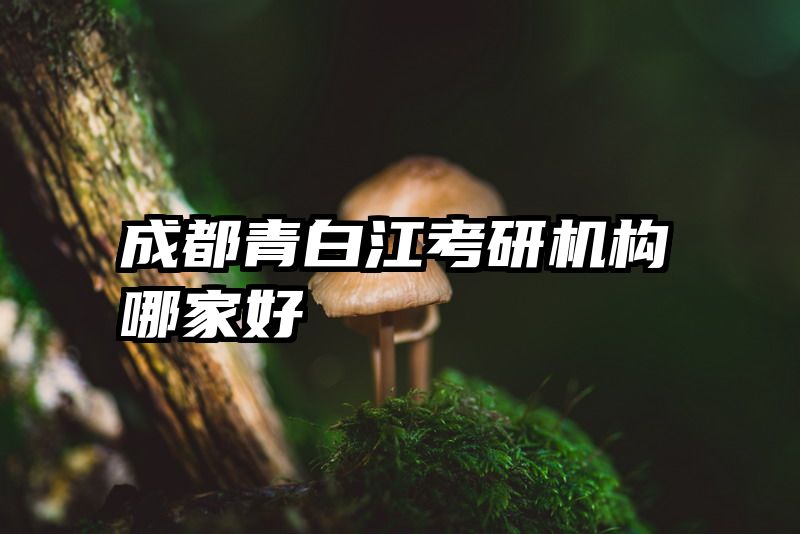 成都青白江考研机构哪家好