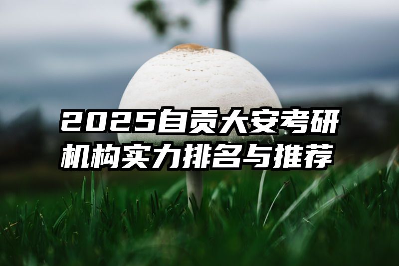 2025自贡大安考研机构实力排名与推荐