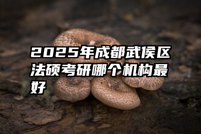 2025年成都武侯区法硕考研哪个机构最好