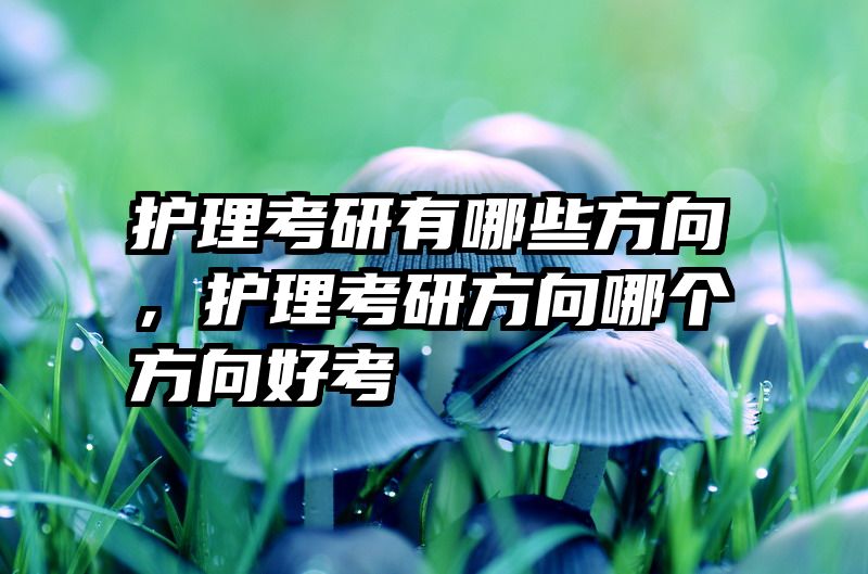 护理考研有哪些方向，护理考研方向哪个方向好考