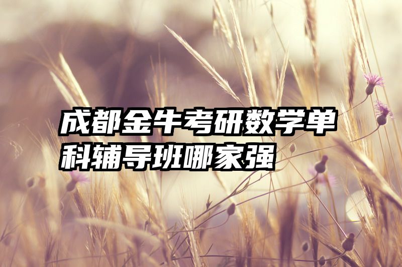 成都金牛考研数学单科辅导班哪家强