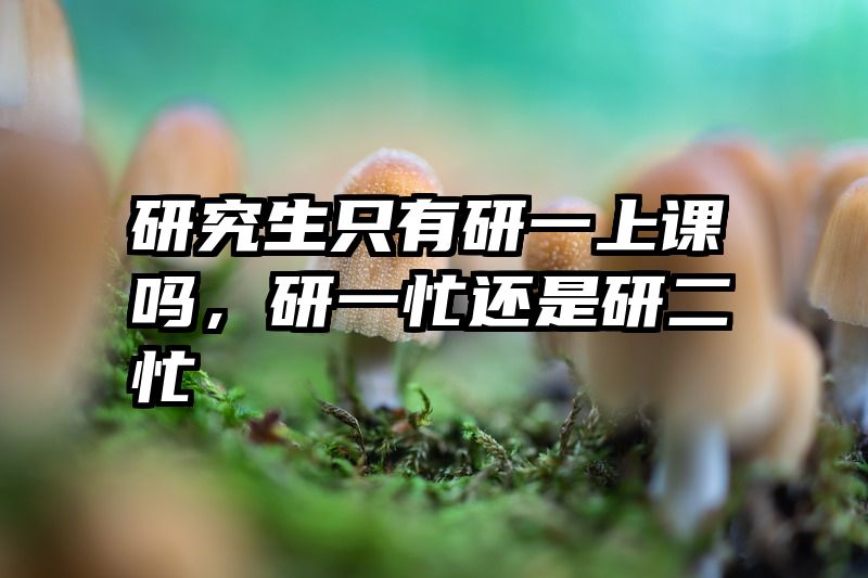 研究生只有研一上课吗，研一忙还是研二忙
