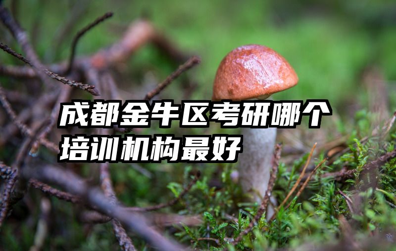 成都金牛区考研哪个培训机构最好