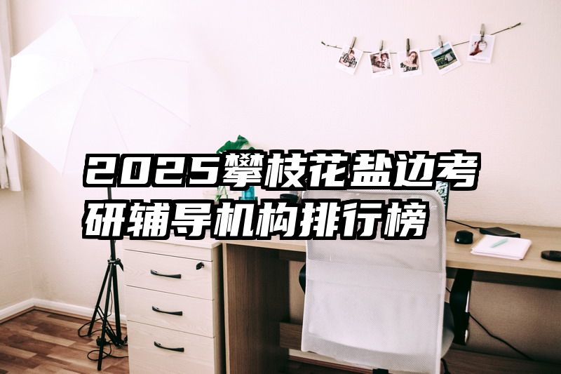 2025攀枝花盐边考研辅导机构排行榜