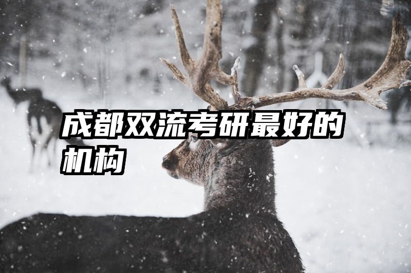 成都双流考研最好的机构