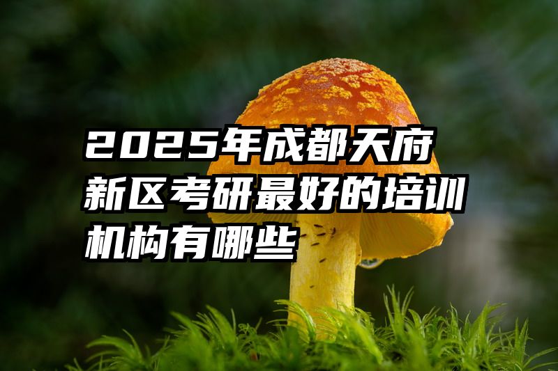 2025年成都天府新区考研最好的培训机构有哪些