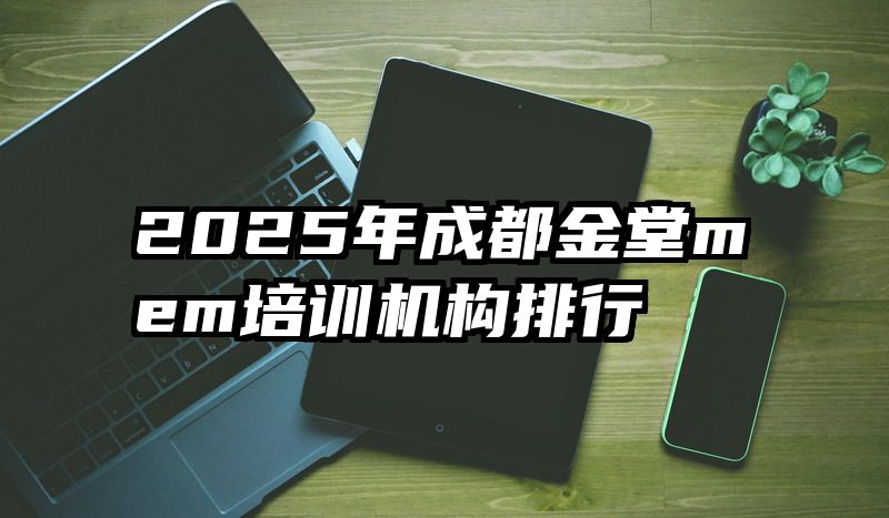 2025年成都金堂mem培训机构排行