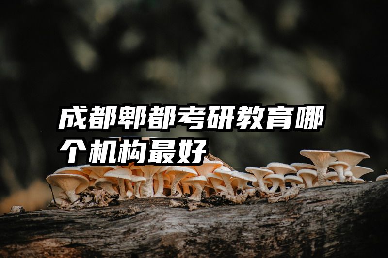 成都郫都考研教育哪个机构最好