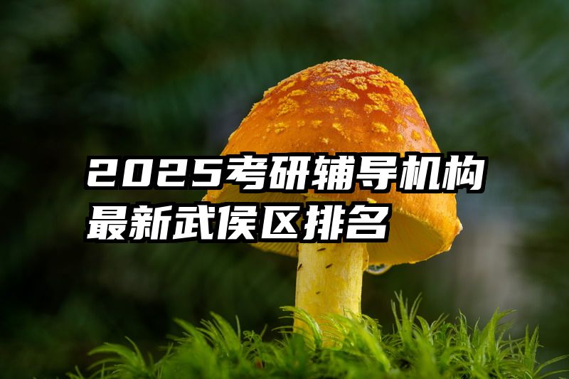 2025考研辅导机构最新武侯区排名
