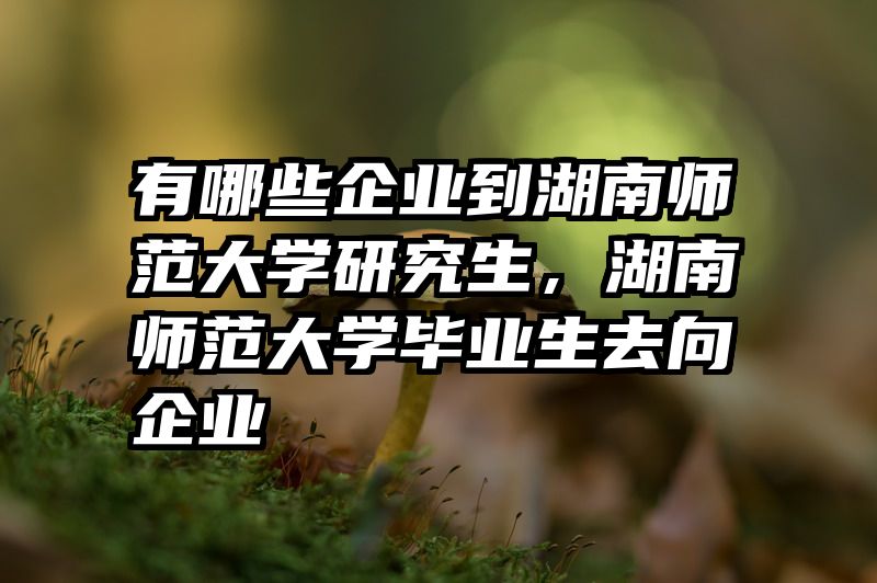 有哪些企业到湖南师范大学研究生，湖南师范大学毕业生去向企业