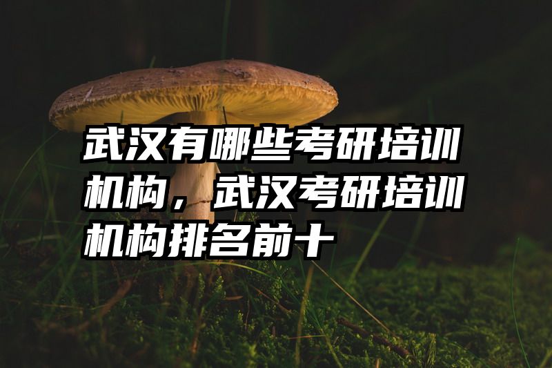 武汉有哪些考研培训机构，武汉考研培训机构排名前十