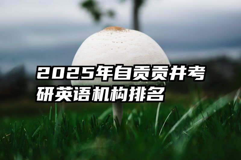 2025年自贡贡井考研英语机构排名