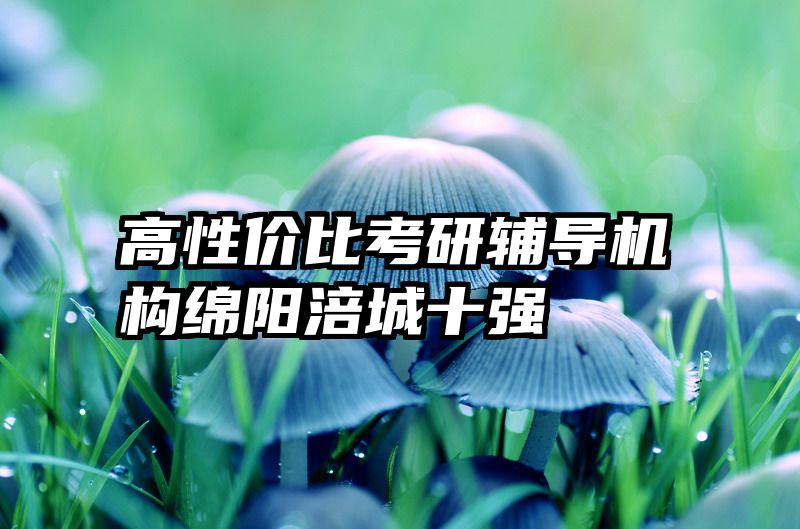 高性价比考研辅导机构绵阳涪城十强