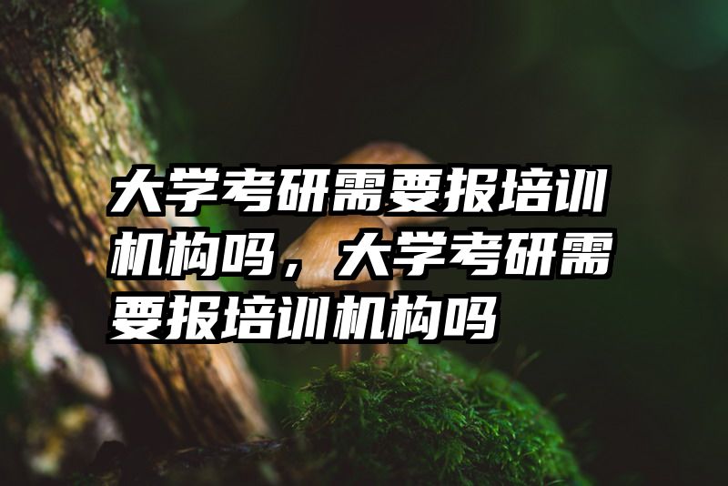 大学考研需要报培训机构吗，大学考研需要报培训机构吗