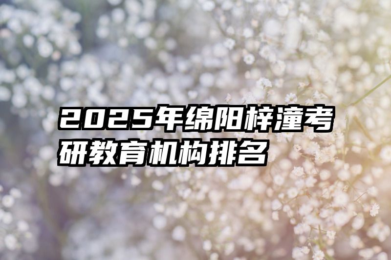 2025年绵阳梓潼考研教育机构排名