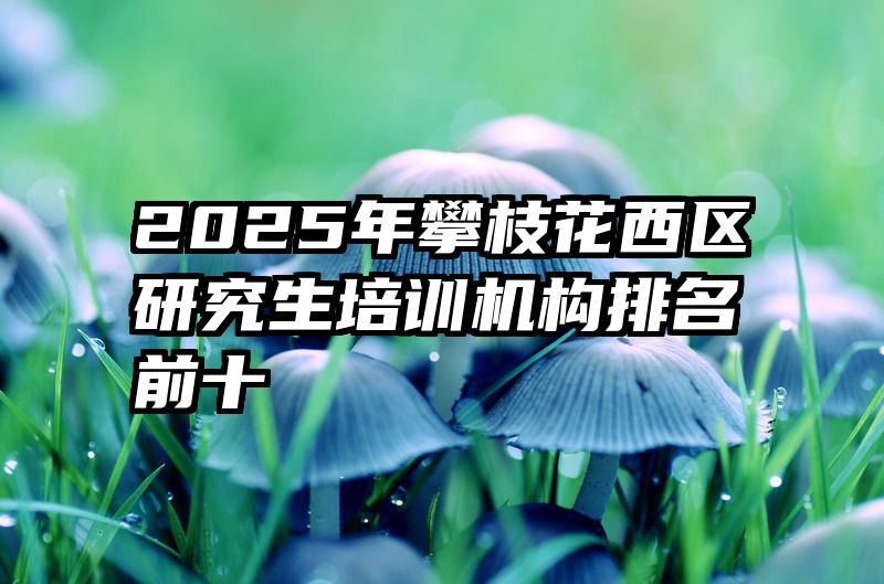 2025年攀枝花西区研究生培训机构排名前十