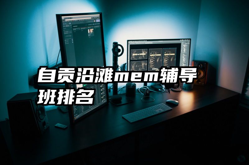自贡沿滩mem辅导班排名
