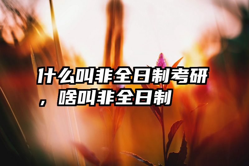 什么叫非全日制考研，啥叫非全日制