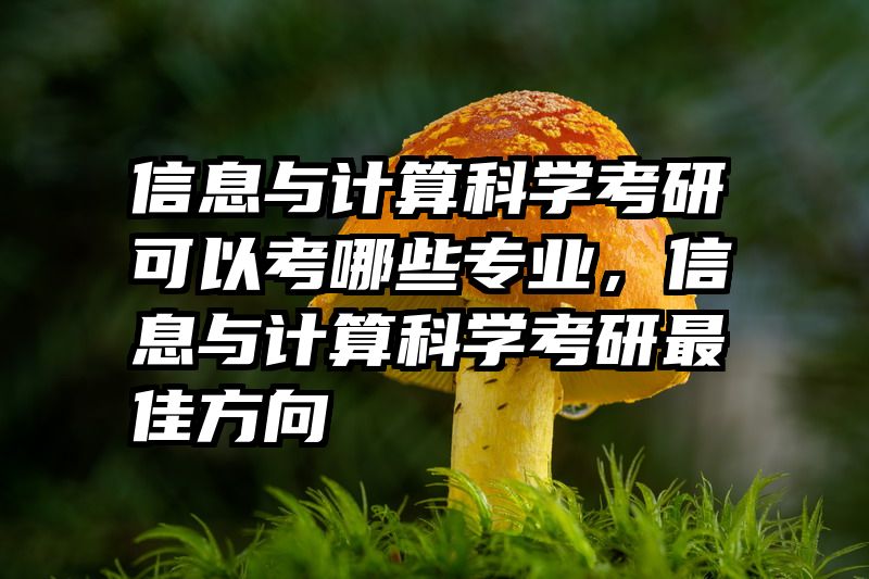 信息与计算科学考研可以考哪些专业，信息与计算科学考研最佳方向