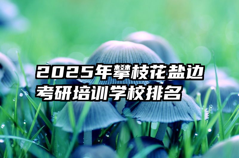 2025年攀枝花盐边考研培训学校排名