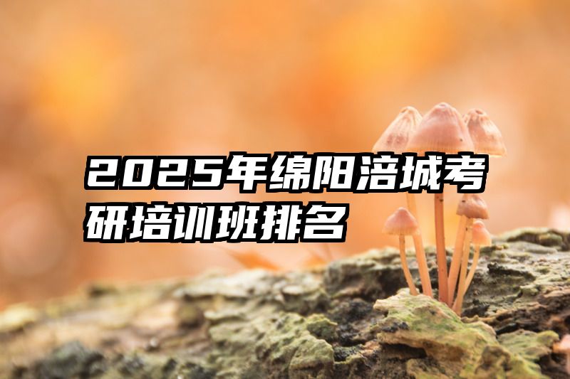 2025年绵阳涪城考研培训班排名