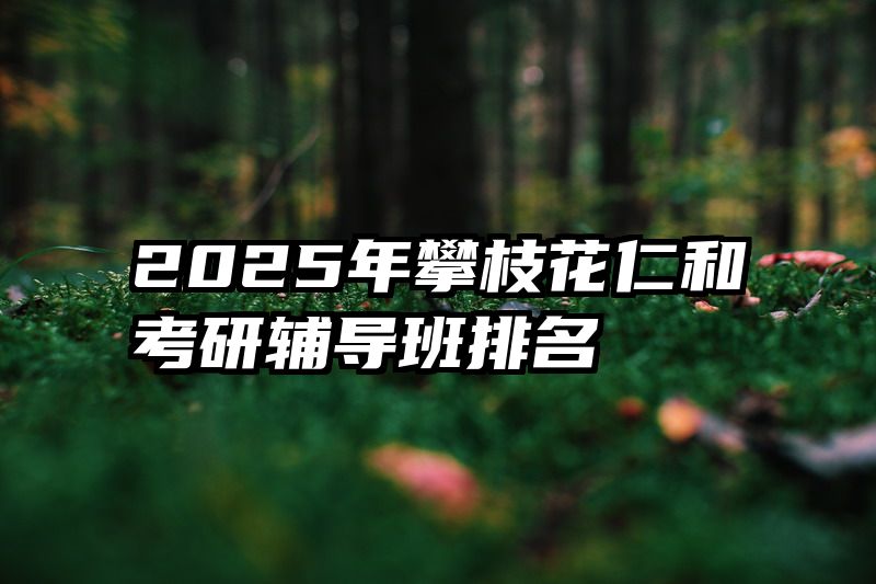 2025年攀枝花仁和考研辅导班排名
