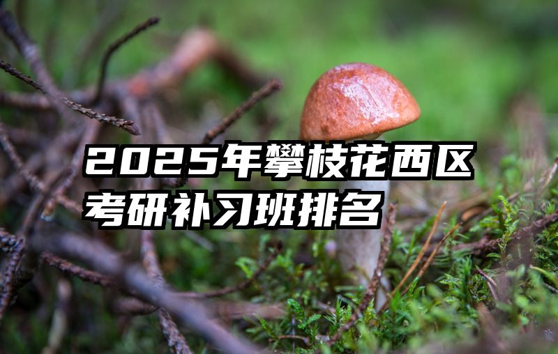 2025年攀枝花西区考研补习班排名