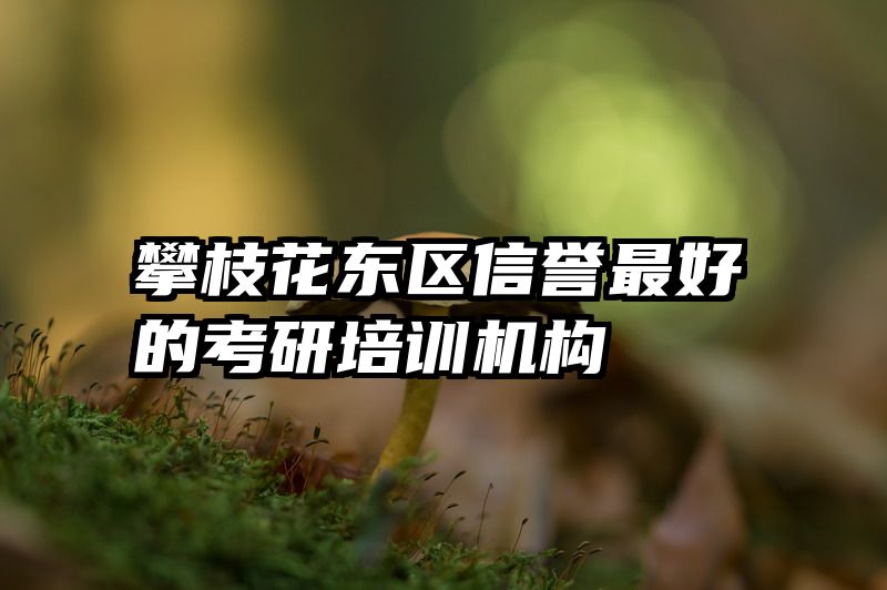 攀枝花东区信誉最好的考研培训机构