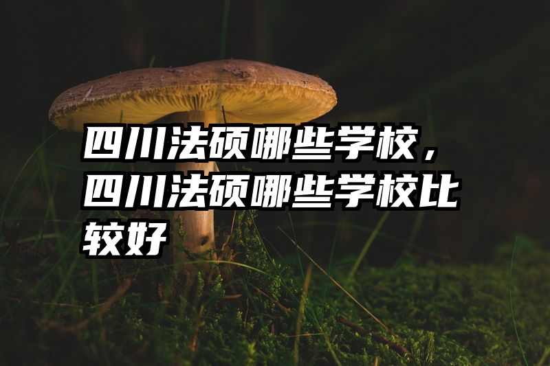四川法硕哪些学校，四川法硕哪些学校比较好