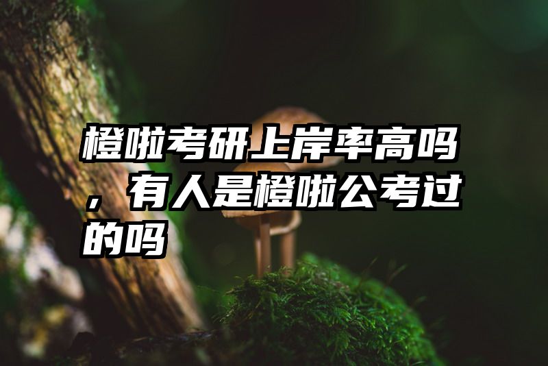 橙啦考研上岸率高吗，有人是橙啦公考过的吗
