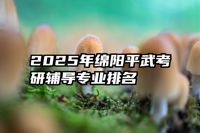 2025年绵阳平武考研辅导专业排名