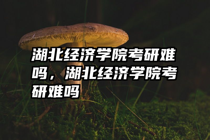 湖北经济学院考研难吗，湖北经济学院考研难吗