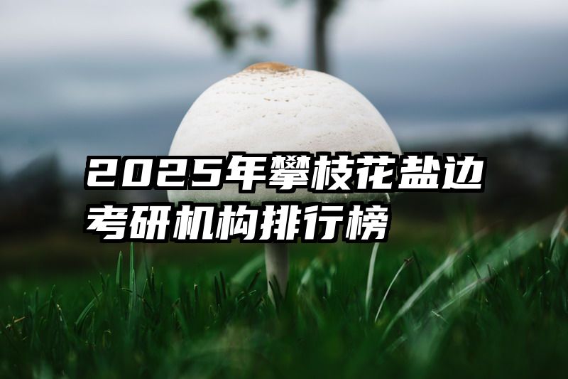 2025年攀枝花盐边考研机构排行榜
