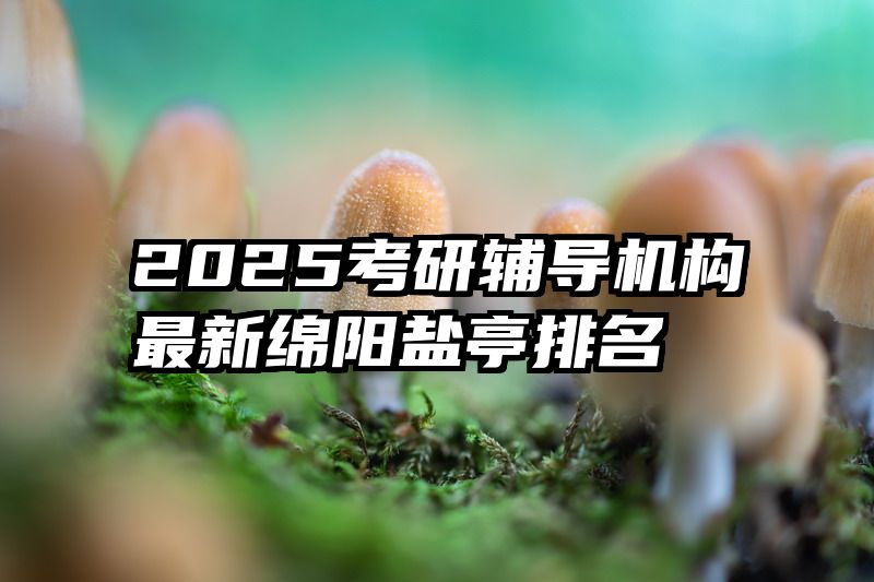 2025考研辅导机构最新绵阳盐亭排名