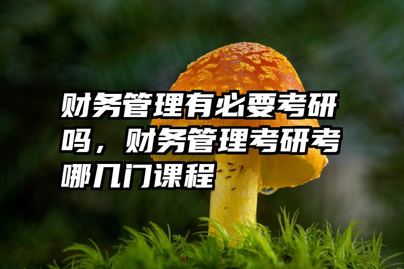 财务管理有必要考研吗，财务管理考研考哪几门课程