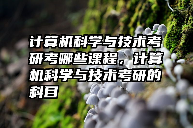 计算机科学与技术考研考哪些课程，计算机科学与技术考研的科目