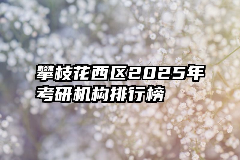 攀枝花西区2025年考研机构排行榜