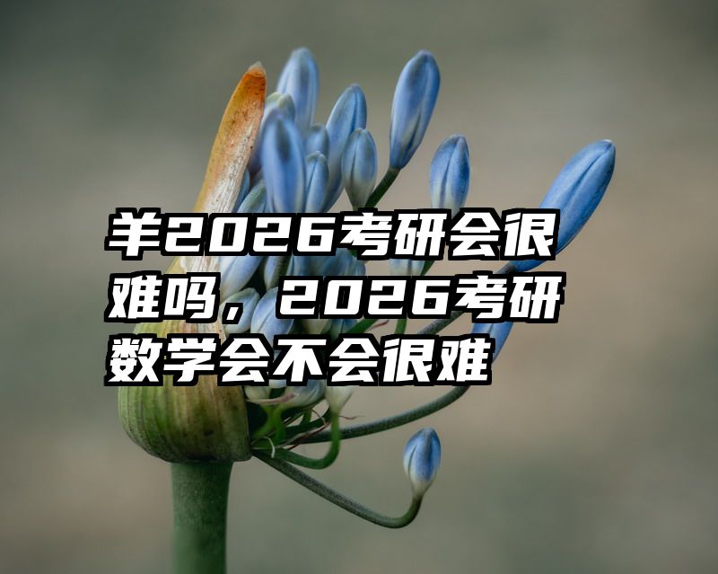 羊2026考研会很难吗，2026考研数学会不会很难