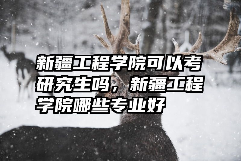 新疆工程学院可以考研究生吗，新疆工程学院哪些专业好