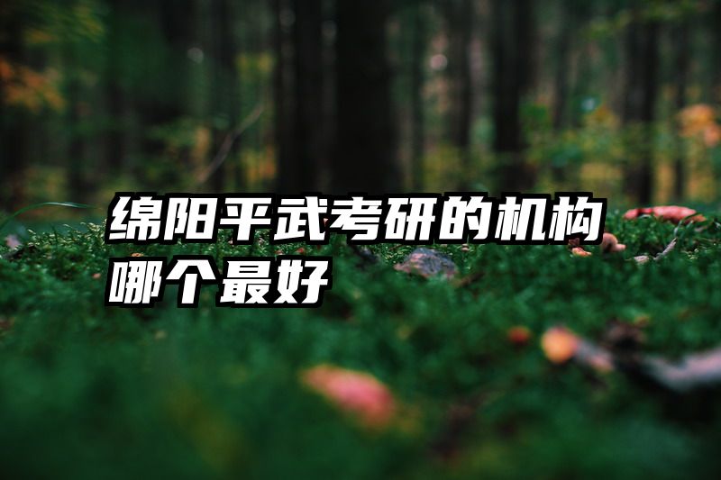 绵阳平武考研的机构哪个最好