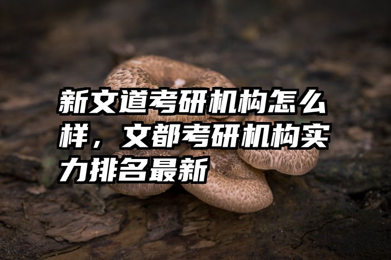 新文道考研机构怎么样，文都考研机构实力排名最新