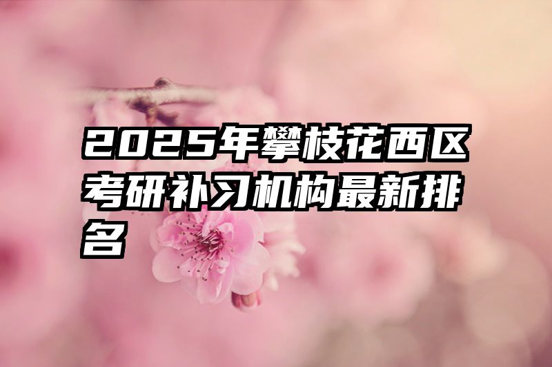 2025年攀枝花西区考研补习机构最新排名