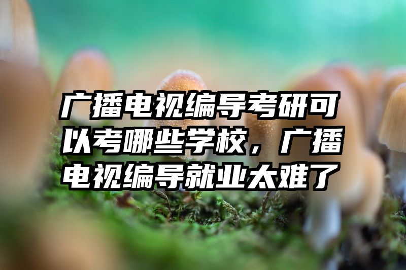 广播电视编导考研可以考哪些学校，广播电视编导就业太难了