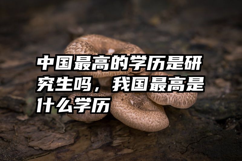 中国最高的学历是研究生吗，我国最高是什么学历