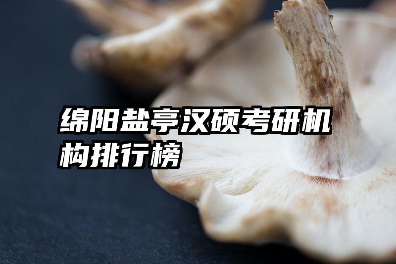 绵阳盐亭汉硕考研机构排行榜