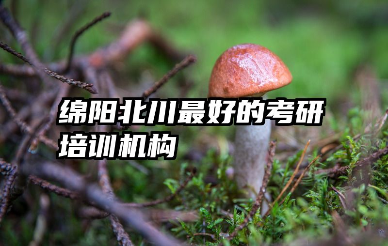 绵阳北川最好的考研培训机构