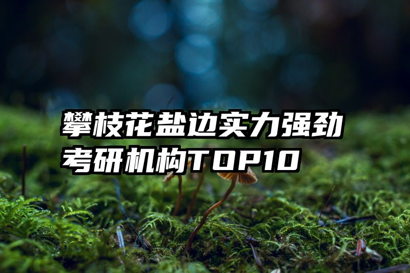 攀枝花盐边实力强劲考研机构TOP10
