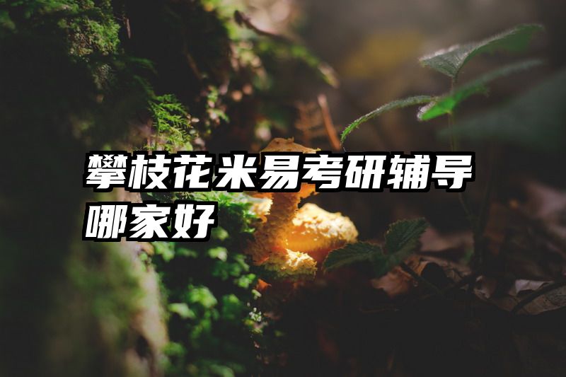 攀枝花米易考研辅导哪家好